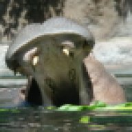 Akula